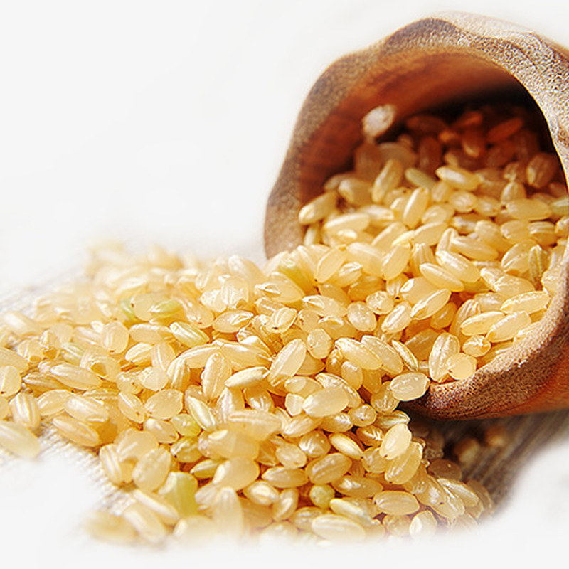 美农美季有机糙米1400g胚芽米新米东北大米糙米饭杂粮粥五谷粗粮