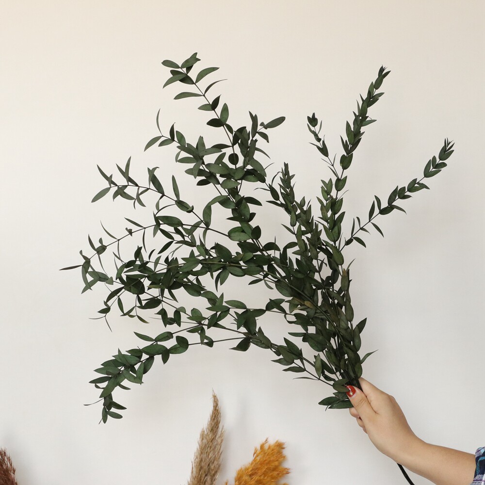 铜钱桉插瓶拍摄道具北欧文艺桉树树叶永生花小尖叶永生花