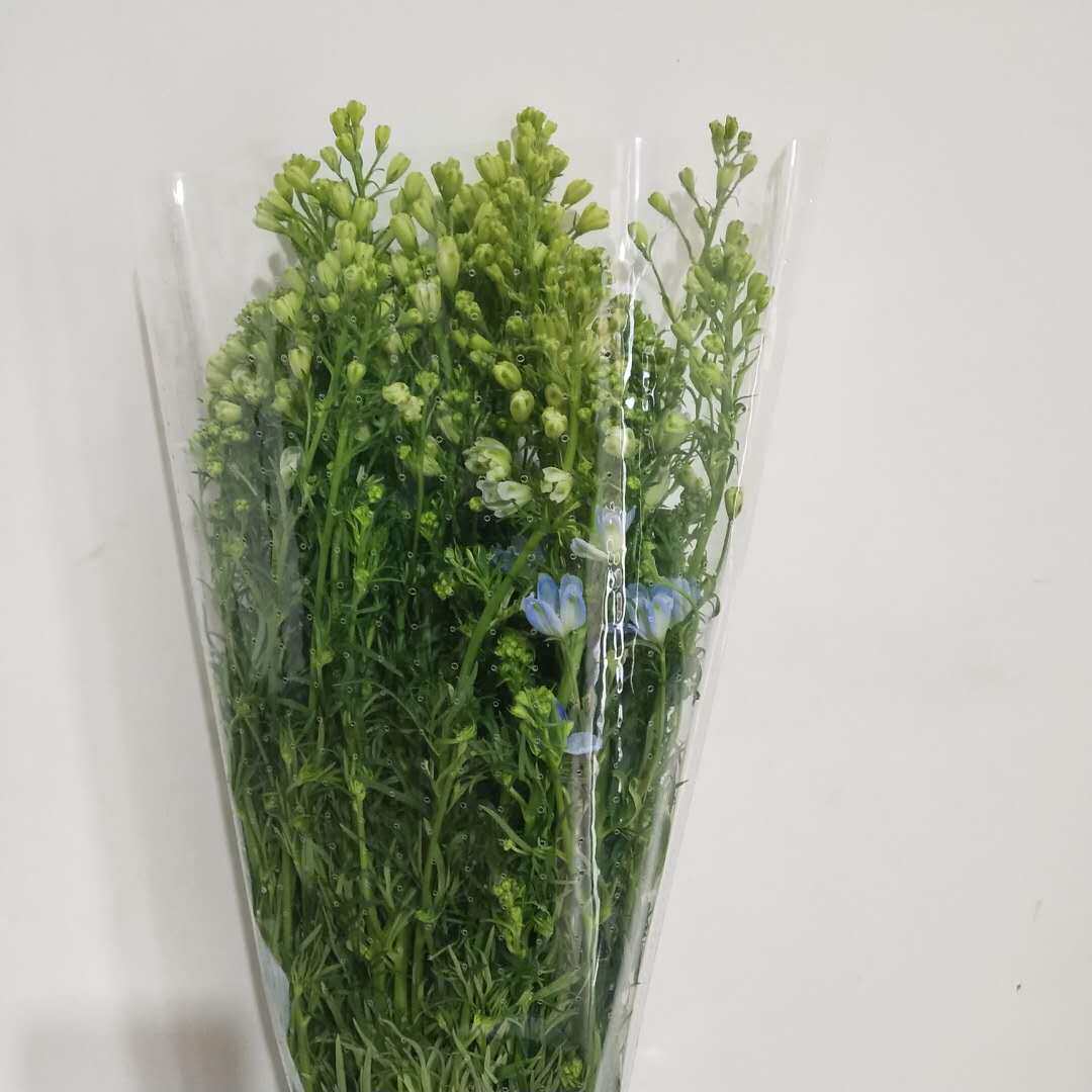 小飞燕鲜花家用办公商务插花配花云南基地地直鲜花速递同城