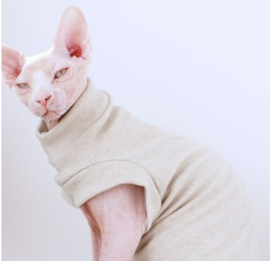 无毛猫衣服定制纯100%棉彩棉小猫高档斯芬克斯猫咪衣服用品撸猫服
