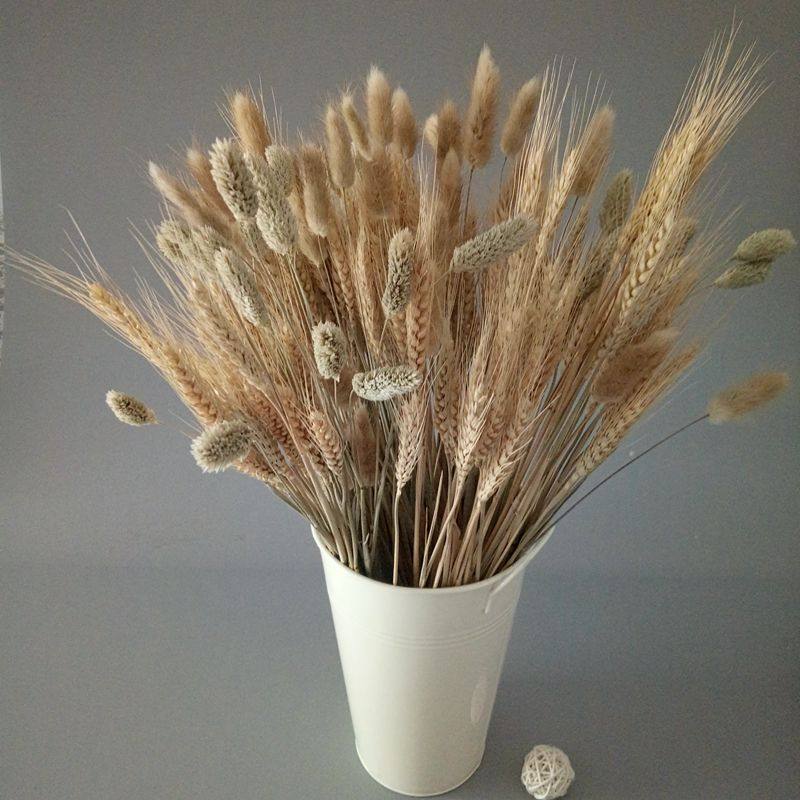 天然麦穗干花花束开业大麦田园装饰礼品拍摄道具干花真花麦子包邮