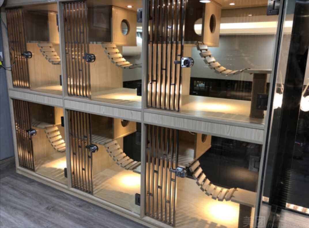 宠物店定制猫舍玻璃展柜橱窗柜猫咪展示柜猫别墅猫咪寄养柜繁殖笼