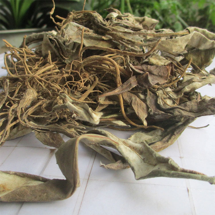 产后一枝李毛光面白眉草干整株500g后头野生新品其他药食同源食品