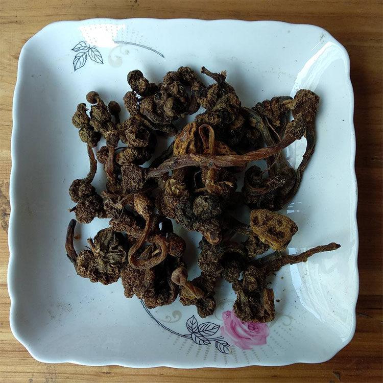 天然野生小号深山不出出头500g葛菌丛蓉地重楼其他药食同源食品