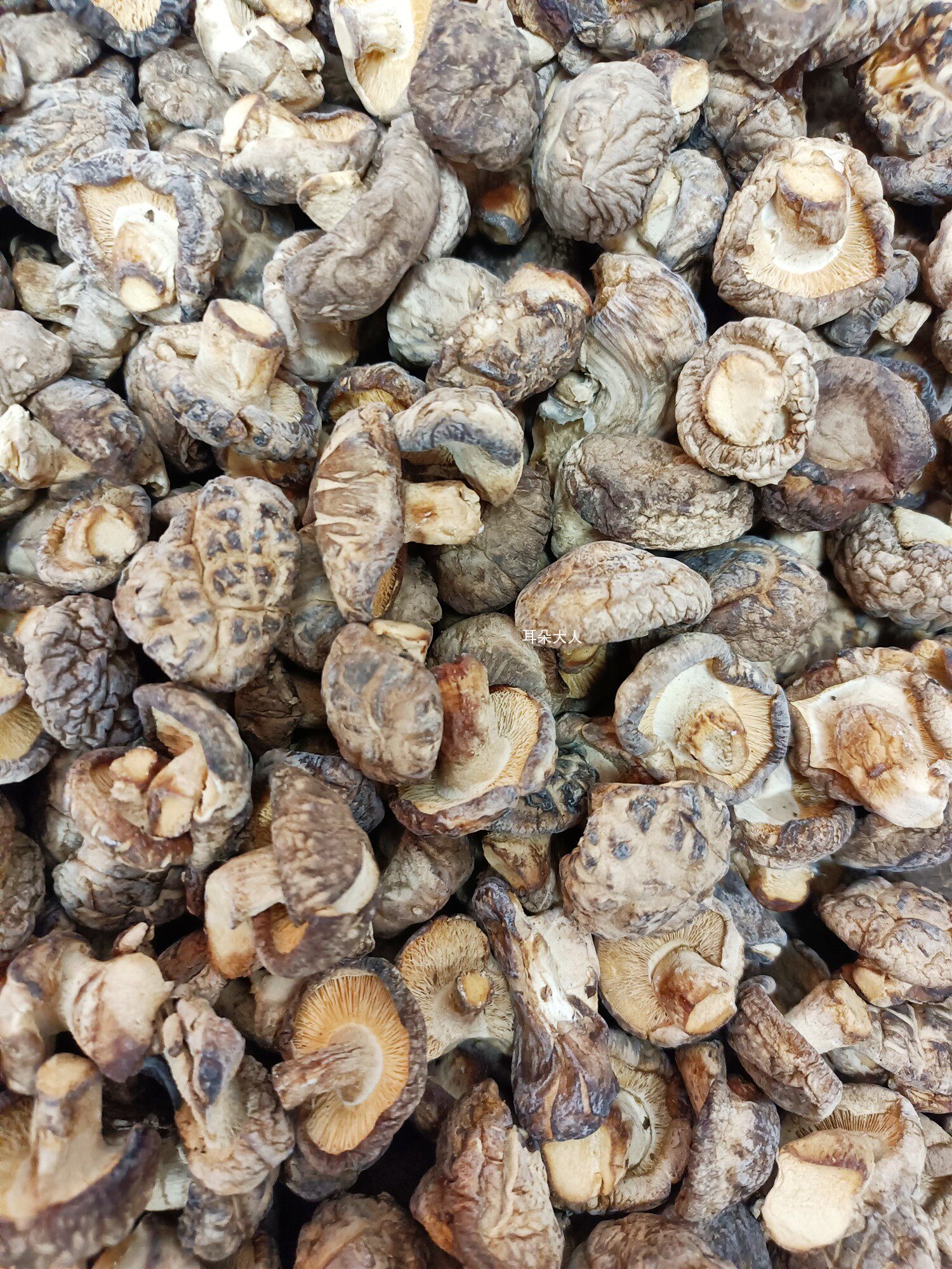 东北北大花菇干货500g香菇蘑菇香茹冬菇营养香菇类