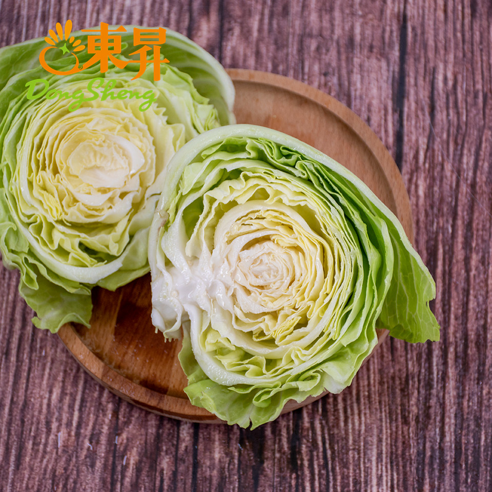东升农场有机椰菜卷心心包菜球甘蓝洋白菜广州其它