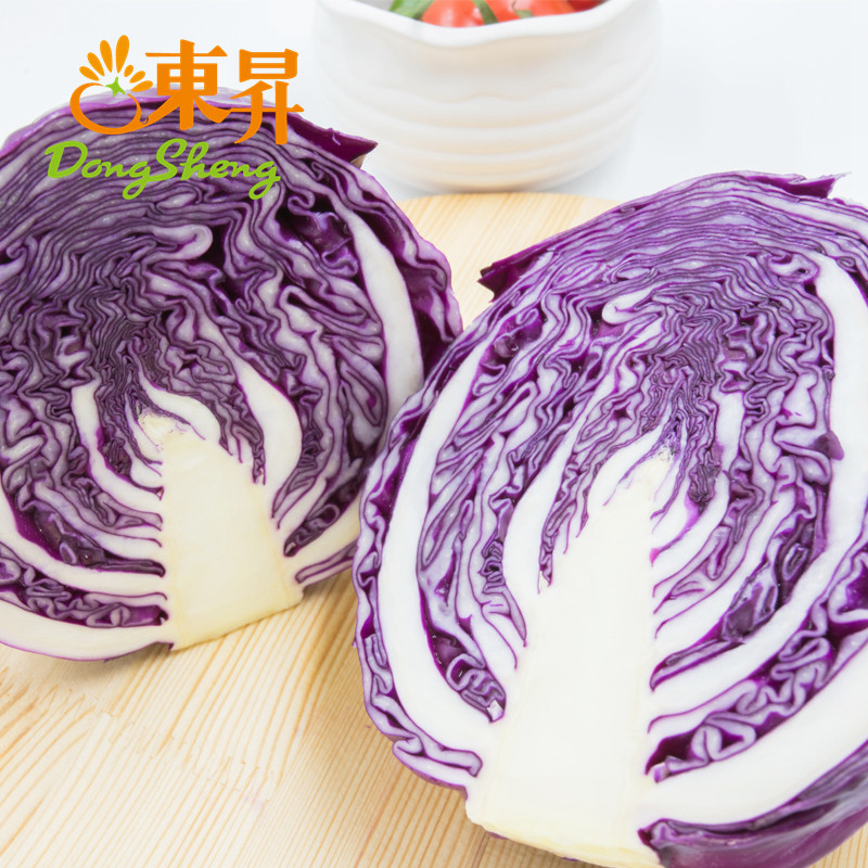 东升农场新鲜紫甘蓝紫包菜球西餐紫椰健身身轻其它