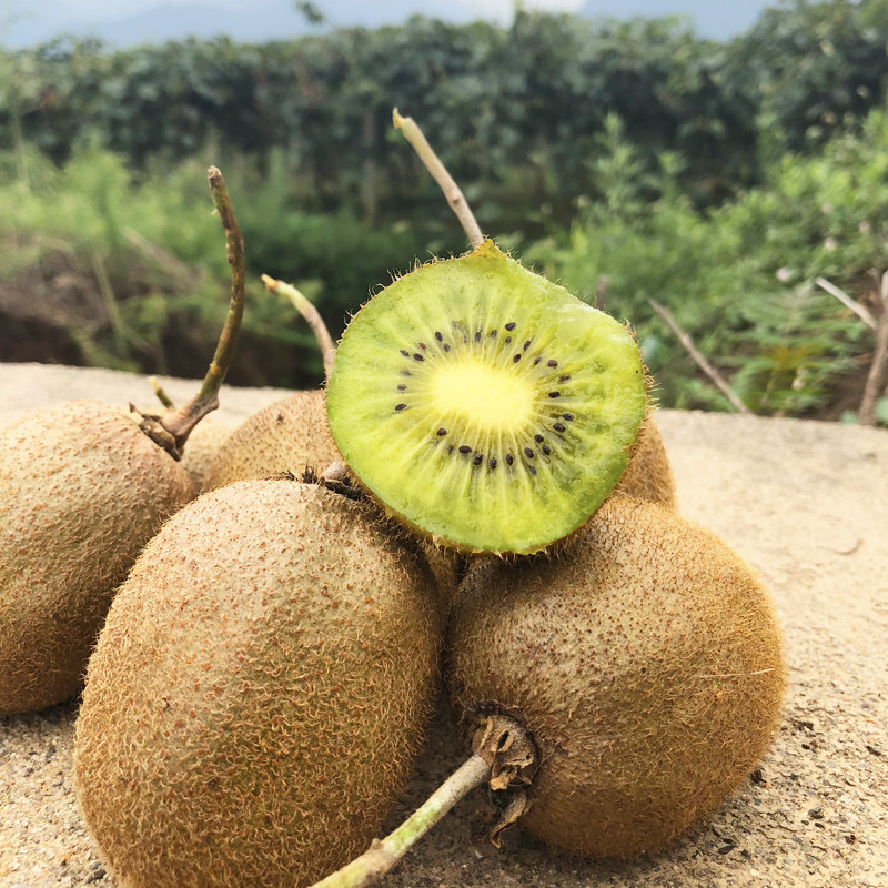 眉县徐香猕猴桃大果新鲜5斤包邮陕西秦岭绿心奇异果