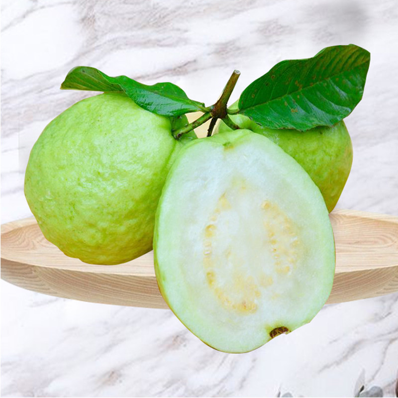 珍珠番石榴白心芭乐现摘现发新鲜水果包邮当季整箱芭乐