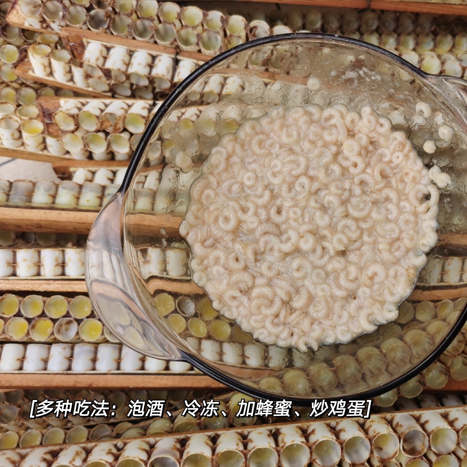 新鲜现取蜂王胎500g蜂卵蜂儿子蜂王幼虫吃出年轻顺丰空运包邮