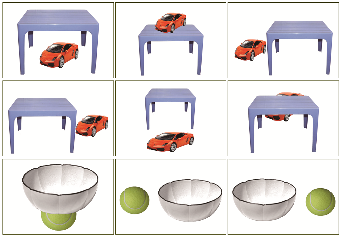 位置方位卡片自闭症孤独症儿童康复训练语言发育玩具挂图