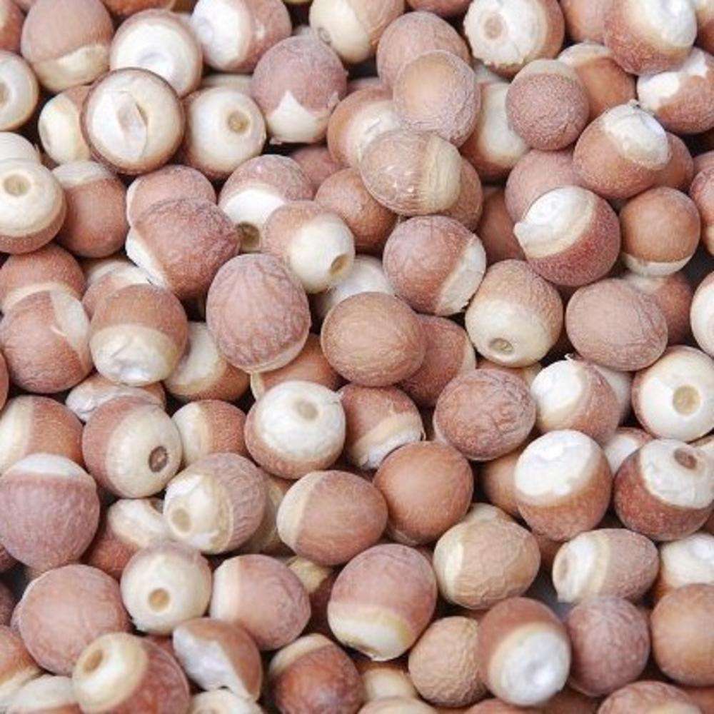 怀府福地 新鲜 完整芡实 肇庆芡实鸡头米新鲜农家特产500g包邮