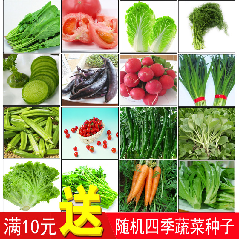 【60种可选】蔬菜种子番茄黄瓜白菜辣椒