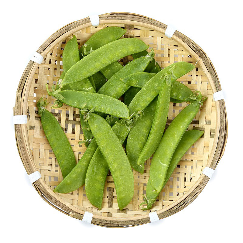 荷兰四棱豆种种子豆子春秋大田高产四季阳台家庭园艺种子