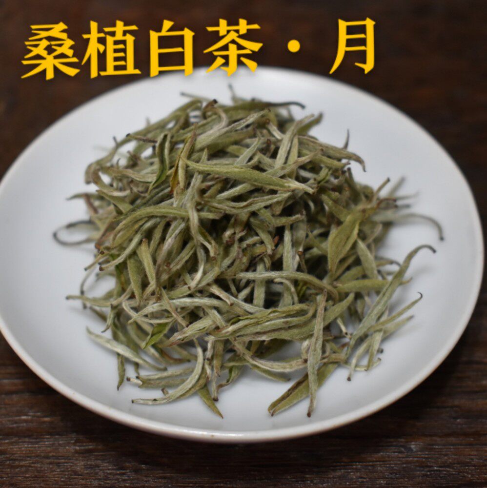 2020首芽野湖南张家界桑植白茶春芽白毫银针白毫银针