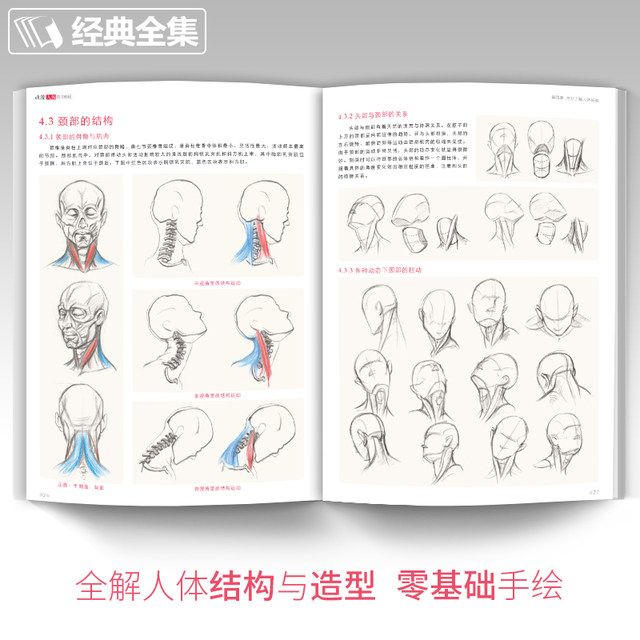 Anime human skills hand-painted game role action design set tutorial book illustration character structure modeling painting zero foundation entry self-study textbook Linyi art book collection ancient wind Mark brother Yang Jianfei Anime human skills hand-painted game role action design set tutorial book illustration character structure modeling painting zero foundation entry self-study textbook Linyi art book collection ancient wind Mark brother Yang Jianfei