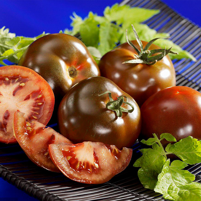 番茄种子黑色大小圣女果种籽黑玉西红柿四季阳台家庭园艺种子