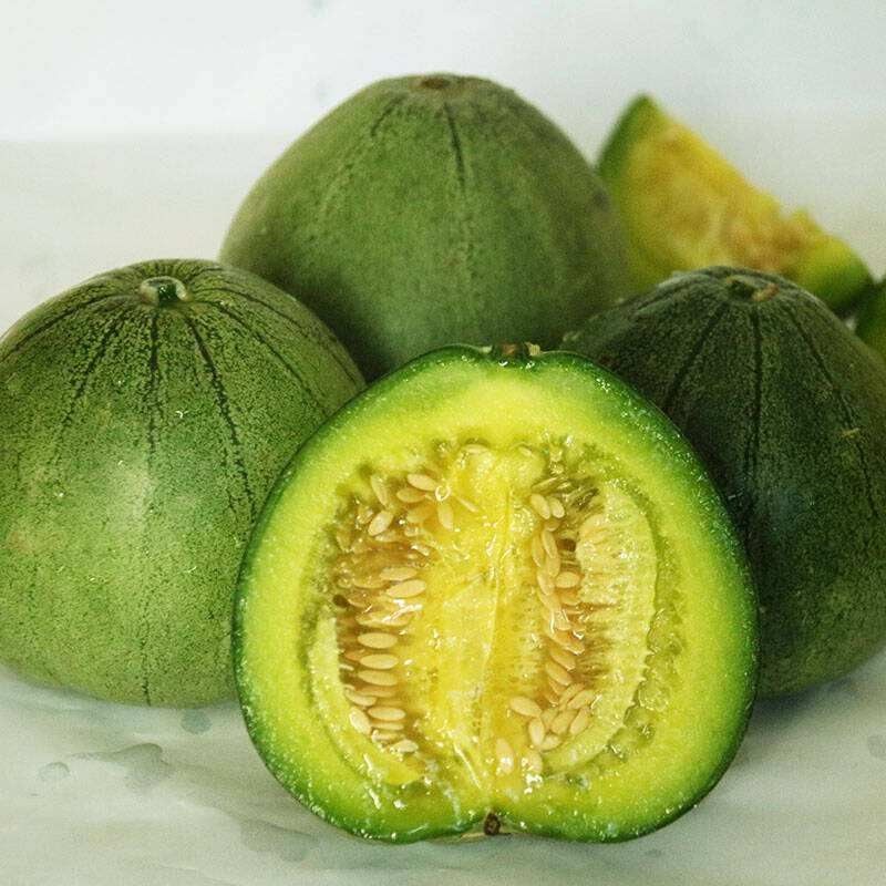 种子凤鸣绿宝甜瓜薄皮香瓜青皮绿肉绿皮绿瓤家庭园艺种子