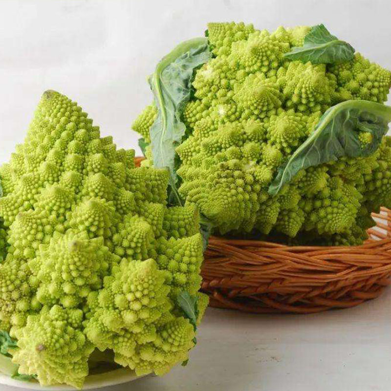 宝塔菜花种子2g罗马花椰菜现在可种秋冬春季家庭园艺种子