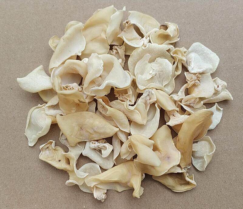 东北特产白玉菇白木耳干货500g天然竹耳干菇类银耳