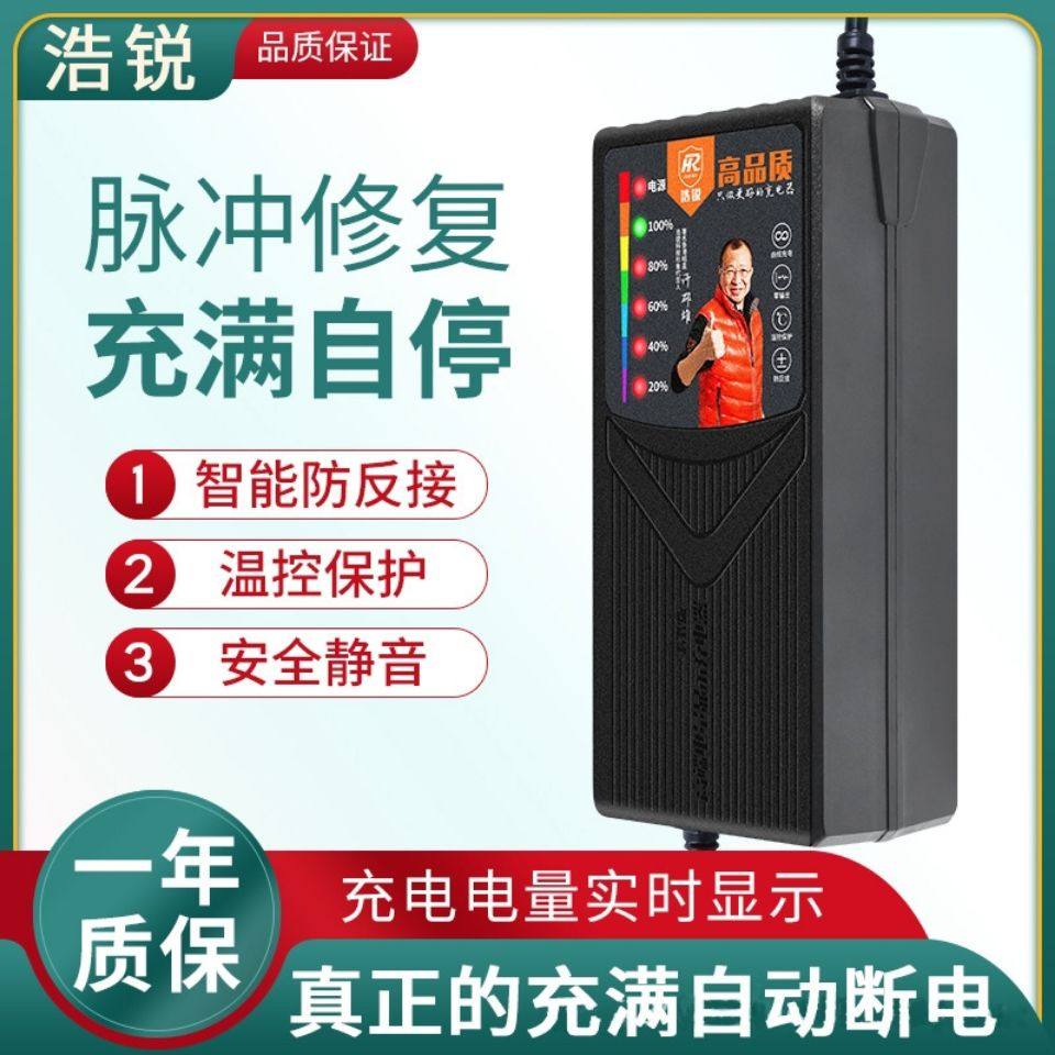 浩瑞智能型六灯自动断电高端电动车电瓶车节能充电器电动车充电器