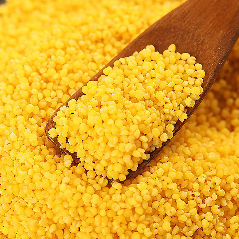 内蒙古小米敖汉500g3袋黄小米五谷杂粮2021年新米小米