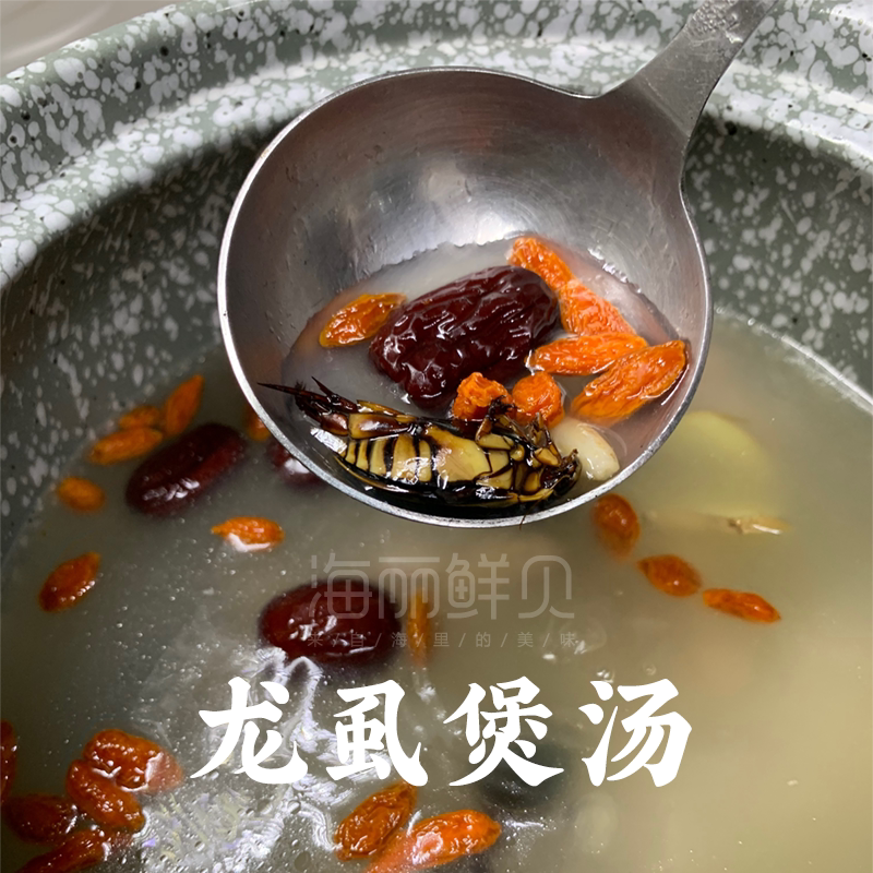 海丽鲜贝大金金边龙虱活体蟑螂鲜活治尿甲虫其它