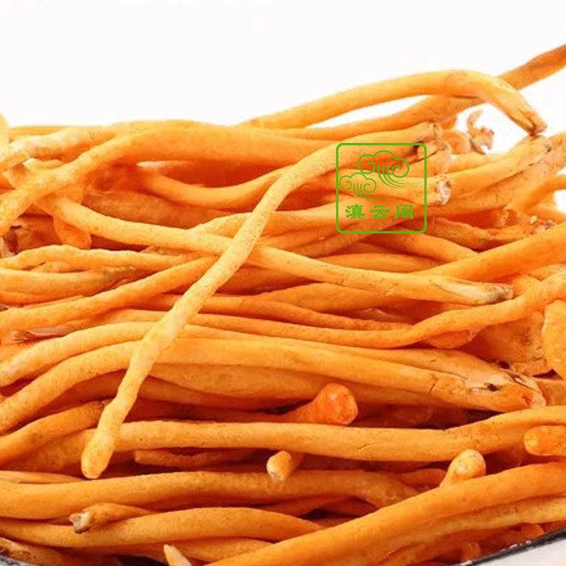 云南特产野生菌新鲜虫草花金虫草孢子头新会蛹北虫草500g顺丰包邮