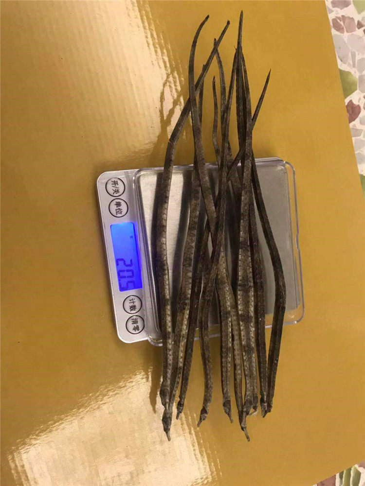 本港四角海龙干货25克10只左右大海龙煲汤药材泡酒材料海鲜干货