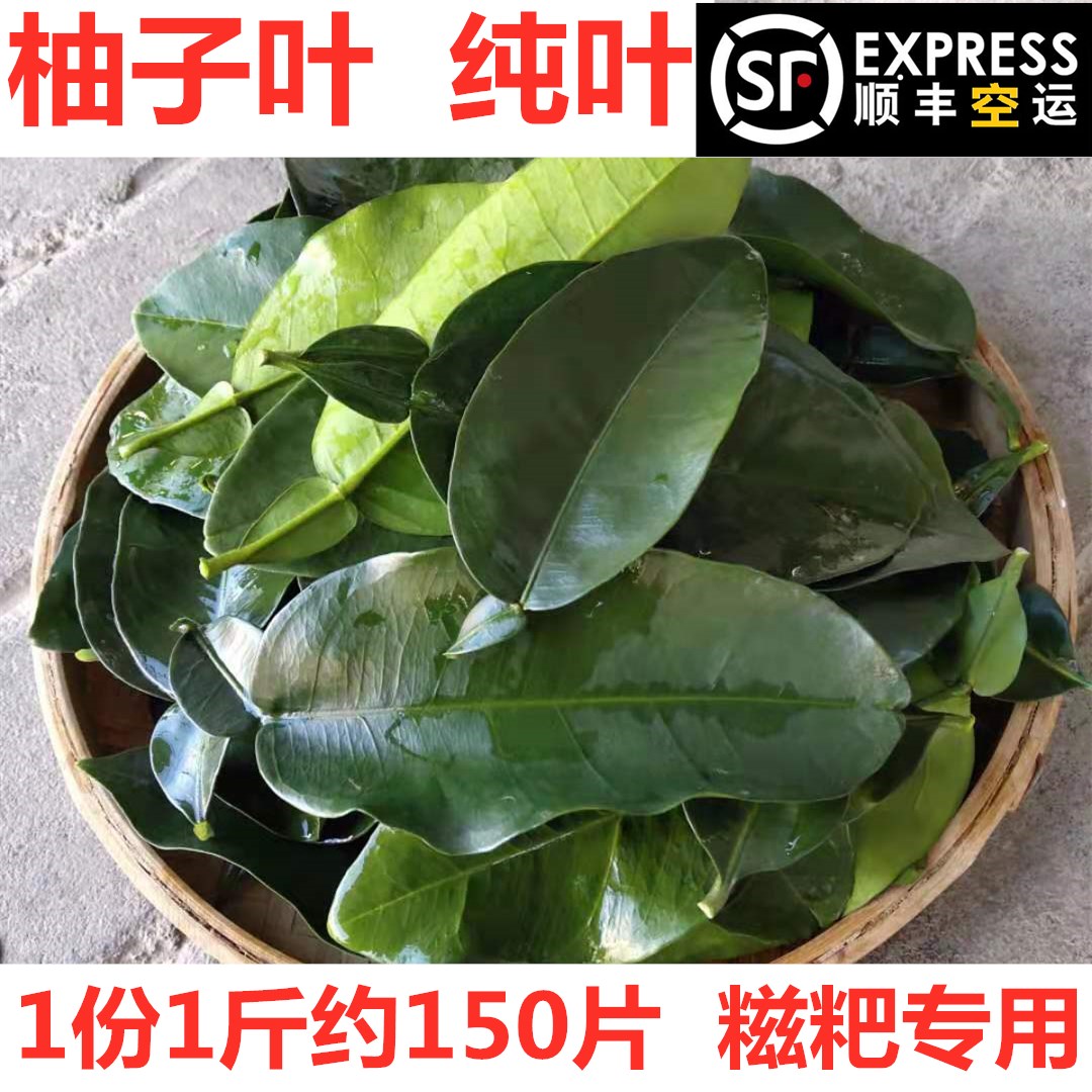子叶新鲜柚鲜柚碌柚叶乔迁新居柚居柚晦气柚子糍粑包树叶
