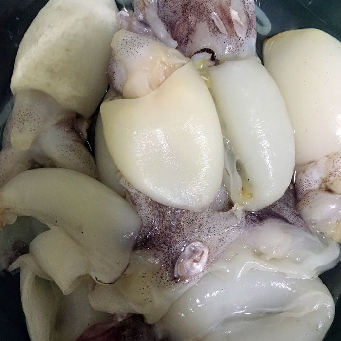 野生墨鱼仔鲜活海鲜水产乌贼活体鲜冻小墨斗鱼麻辣章鱼小目鱼仔