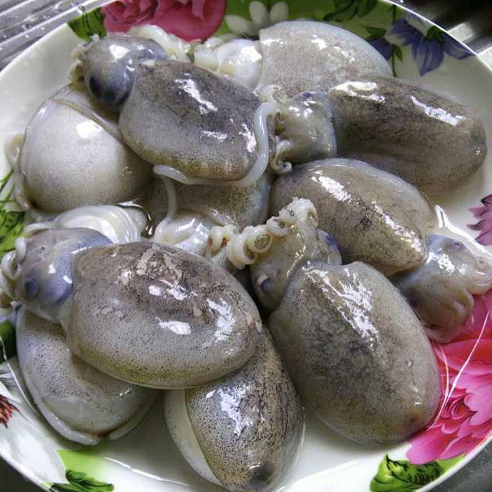 野生墨鱼仔鲜活海鲜水产乌贼活体鲜冻小墨斗鱼麻辣章鱼小目鱼仔