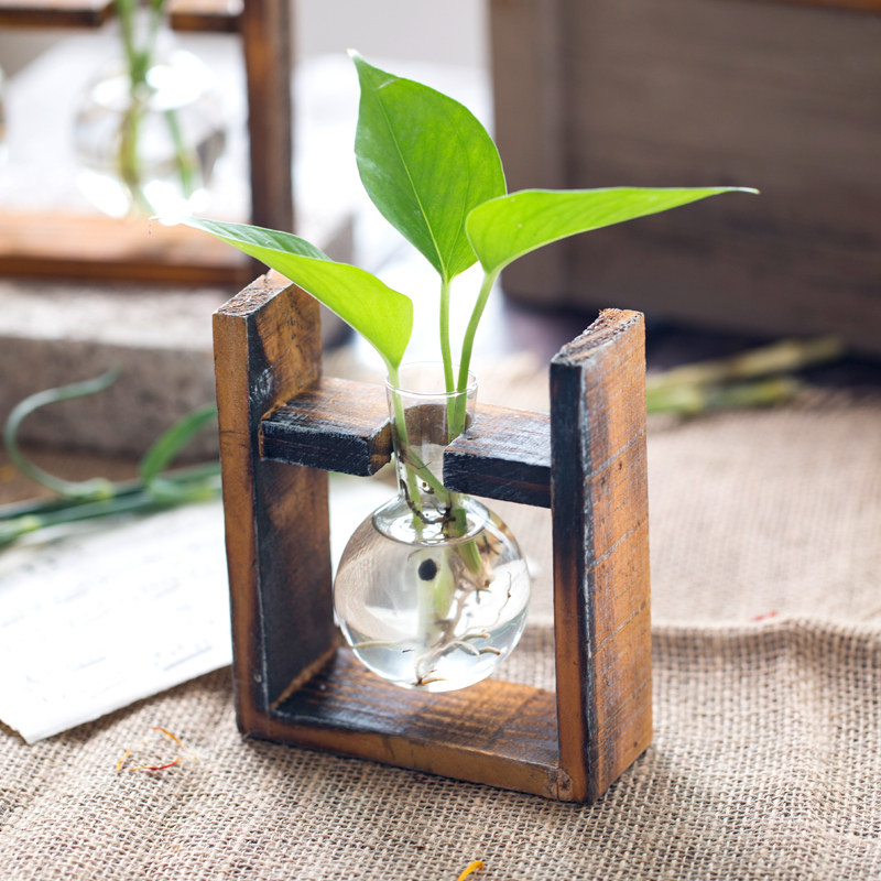 欧式花瓶摆件绿萝水培容器植物透明玻璃瓶客厅装饰品摆设创意花器