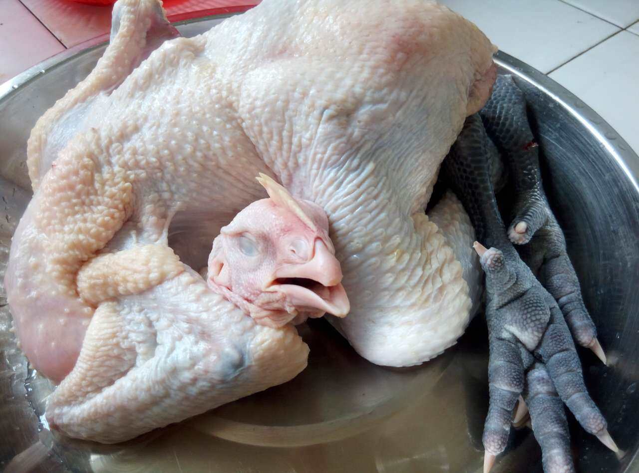 速冻新鲜童子鸡黑爪母鸡青脚麻鸡2.3斤左右4/8只包邮