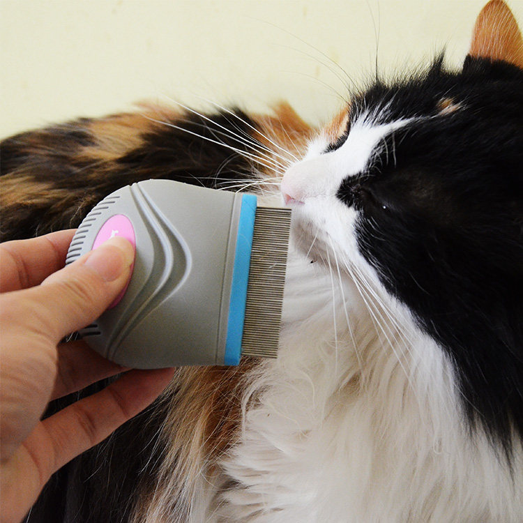 跳蚤台湾amycarol宠物犬狗猫密蚤梳死毛宠物美容猫狗梳子