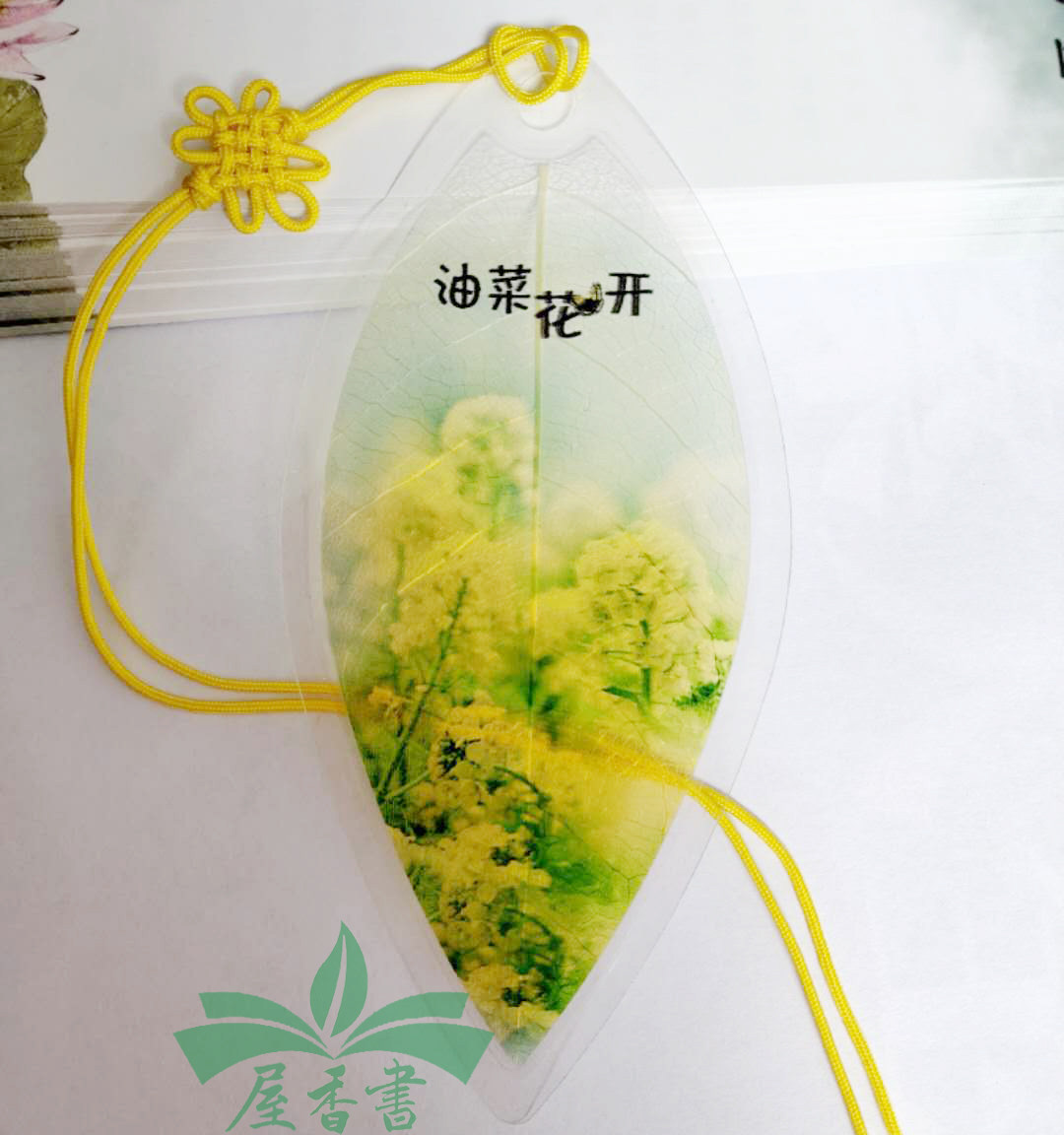 书签油菜花叶脉春天季节学校班级社团春游活动书签