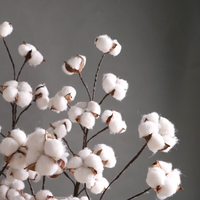 棉花干花装饰品diy花枝摆设家居系家森林风森干花