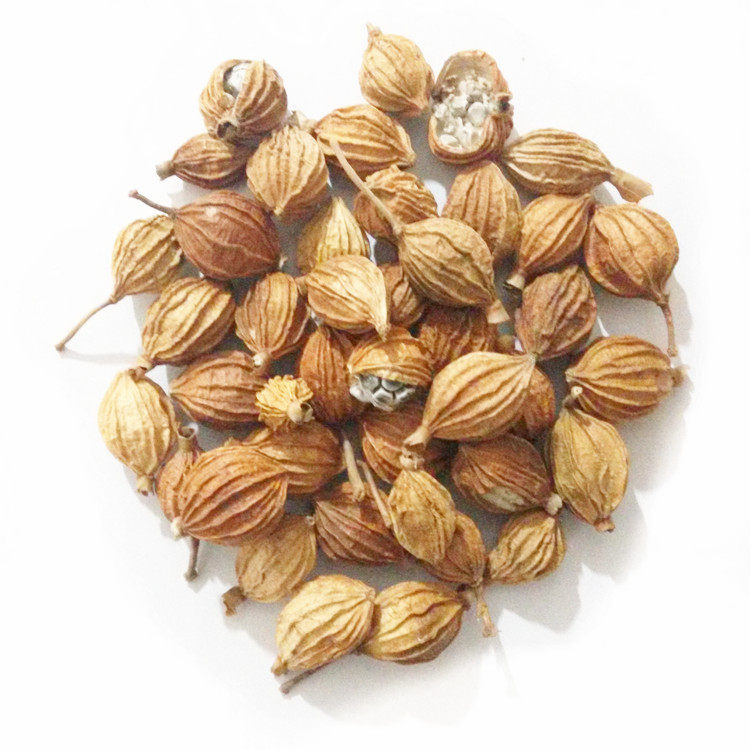 百味香砂香沙仁金仁川砂仁调料香料大全火锅花椒