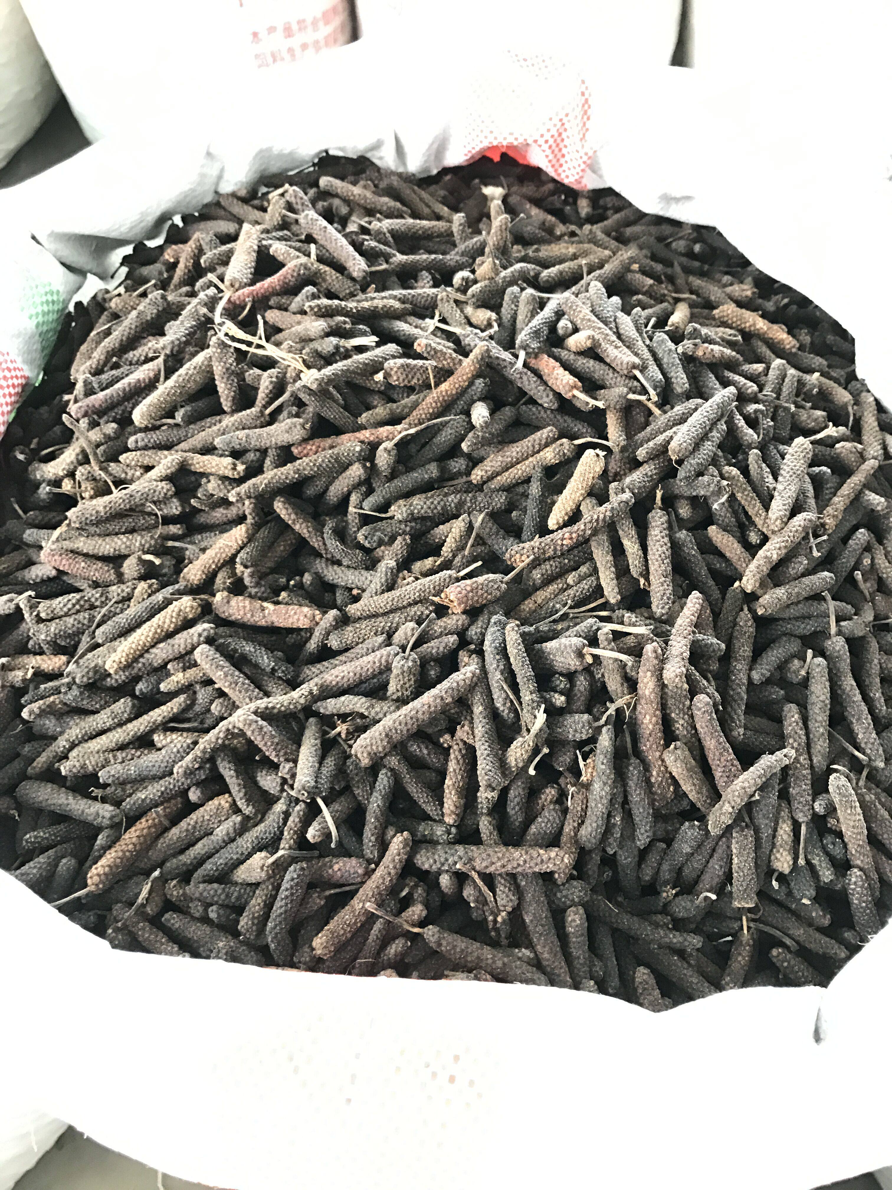 荜拨比卜荜茇毕拨毕波馝馞毕博卤料中药材香料花椒