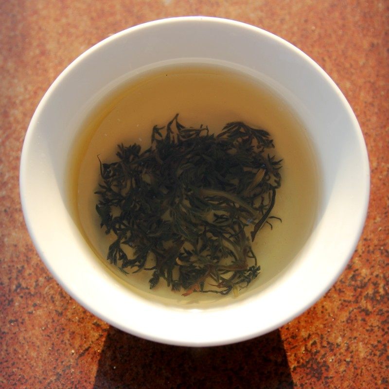 野生茵陈茶三月茵陈蒿嫩芽绵茵陈草泡茶白蒿茶特级可搭红枣茶新茶