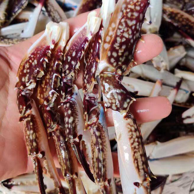 鲜活梭子蟹钳螃蟹冷冻新鲜大号白蟹脚捞汁麻辣梭子蟹