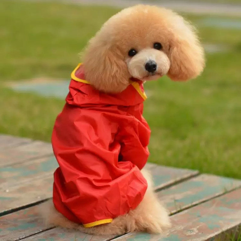 雨衣宠物波波泰迪贵宾服装狗狗小型中型四脚狗宠物服装