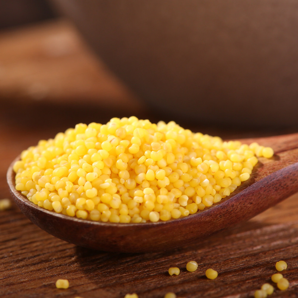大金金苗食用小黄米优优质赤峰小米孕妇月子小米