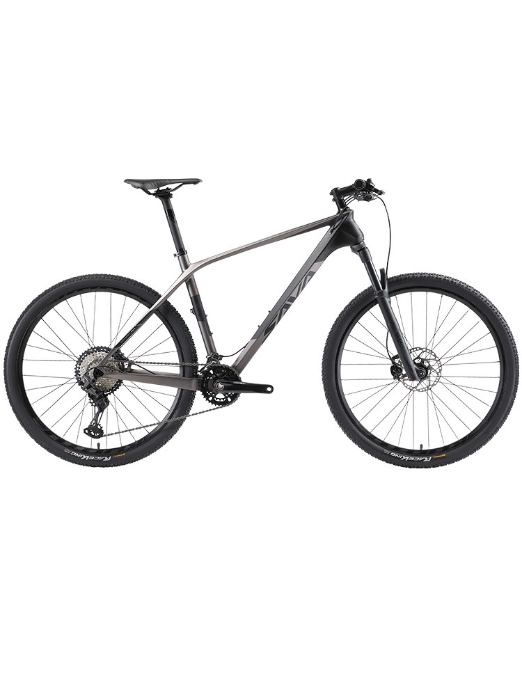 自行车sava超轻碳纤维单臂折叠代步20寸禧玛诺变速折叠自行车