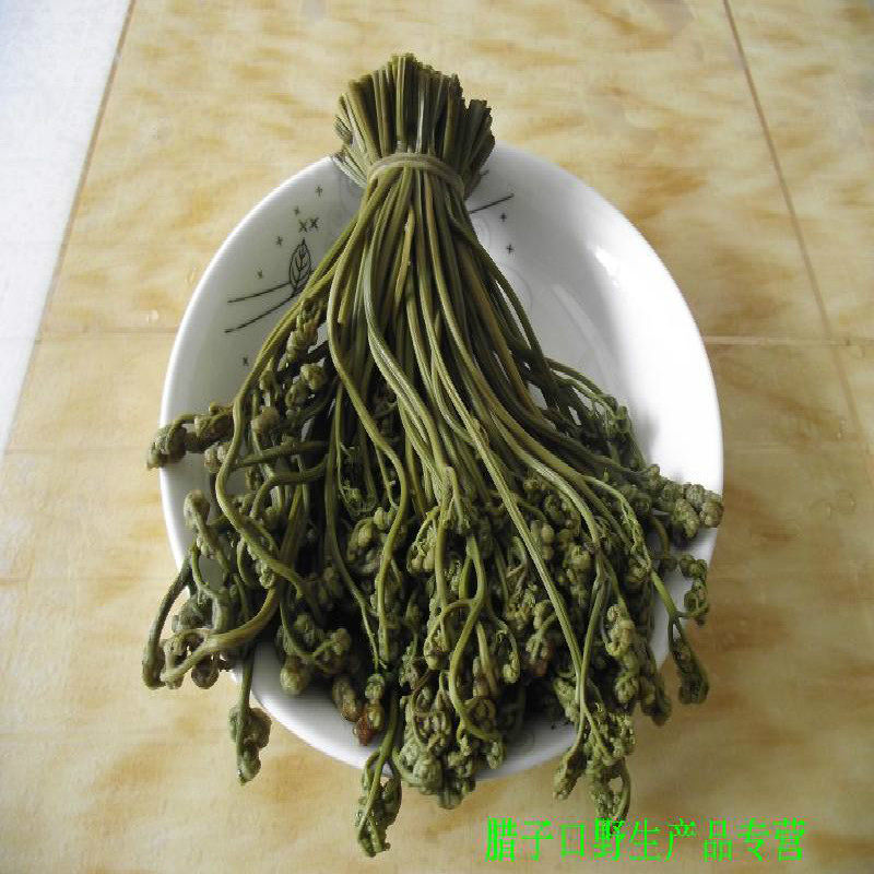 蕨菜干野生货新鲜农家自制野菜猴腿菜鸡爪菜鲜嫩爽口甘南特产山货
