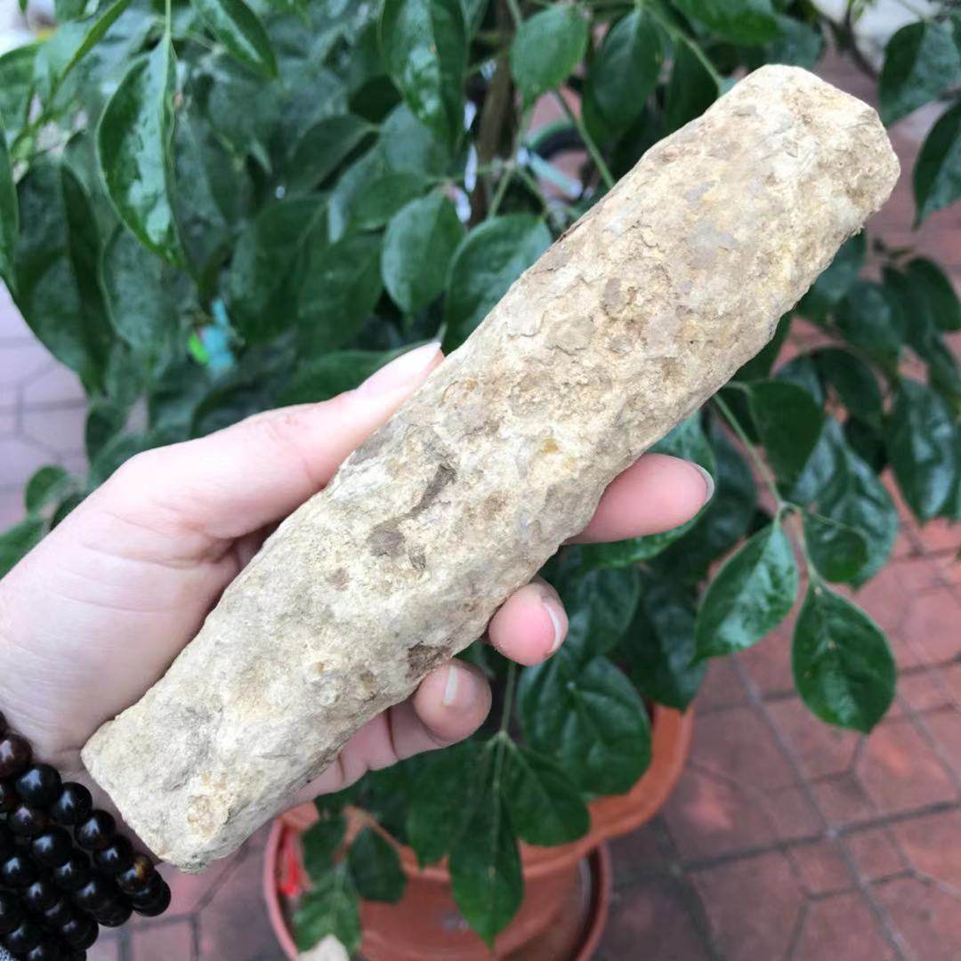 南澳名仕海柳活柳血柳原材料原木定做手把件烟嘴手串