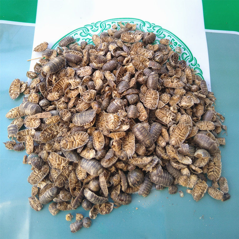 鼠妇中药材潮虫地虱鼠负鼠姑生虫250克干净无碎其他药食同源食品