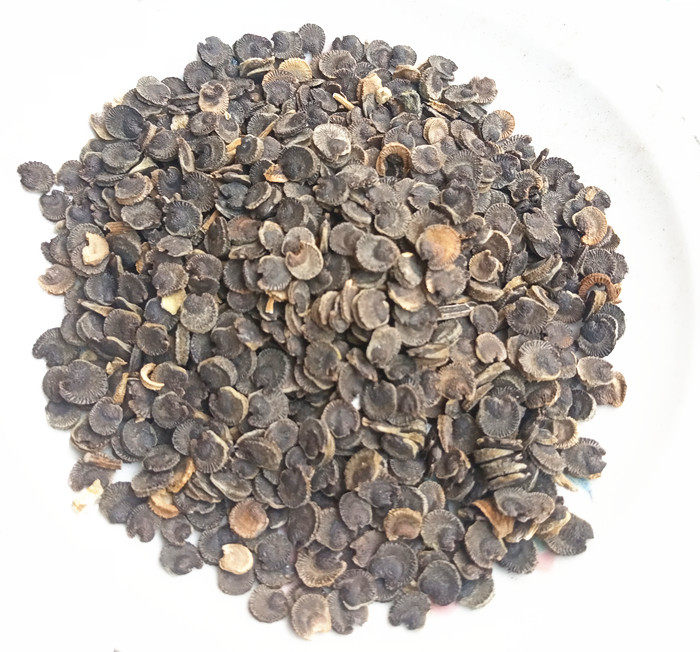 蜀葵中药材黄蜀葵黄蜀季花子熟季花籽500克包邮干净其他药食同源食品