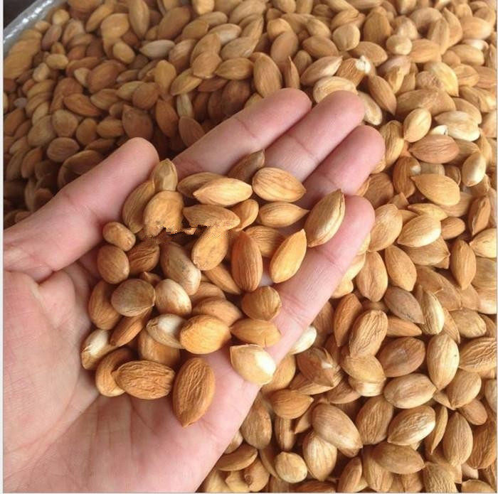 杏仁中药材500克包邮农家纯净货生晒无优质新鲜杏仁