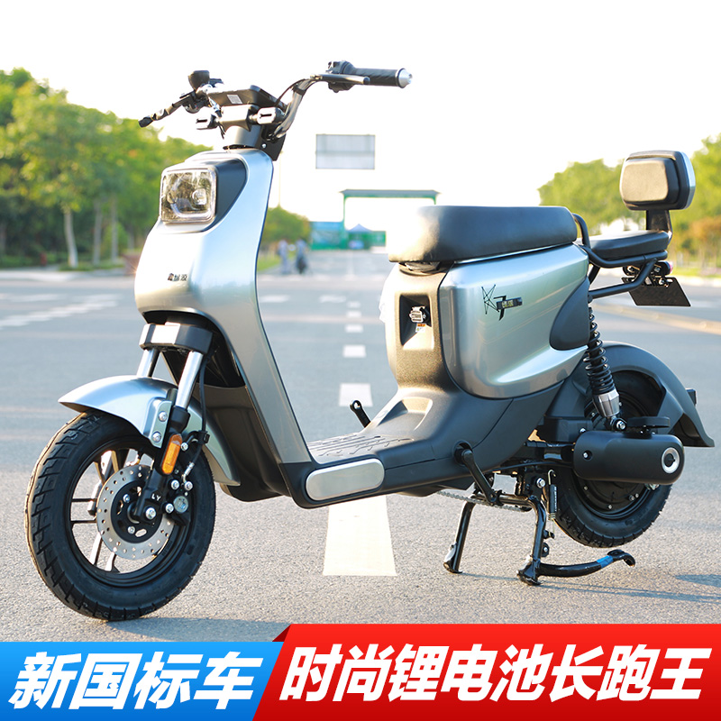 绿源新国标上牌国标锂电池电动车长跑车长助力电瓶车